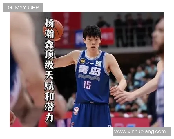 王哲林在CBA赛场的崛起与挑战解析，未来篮球之路的展望与期待